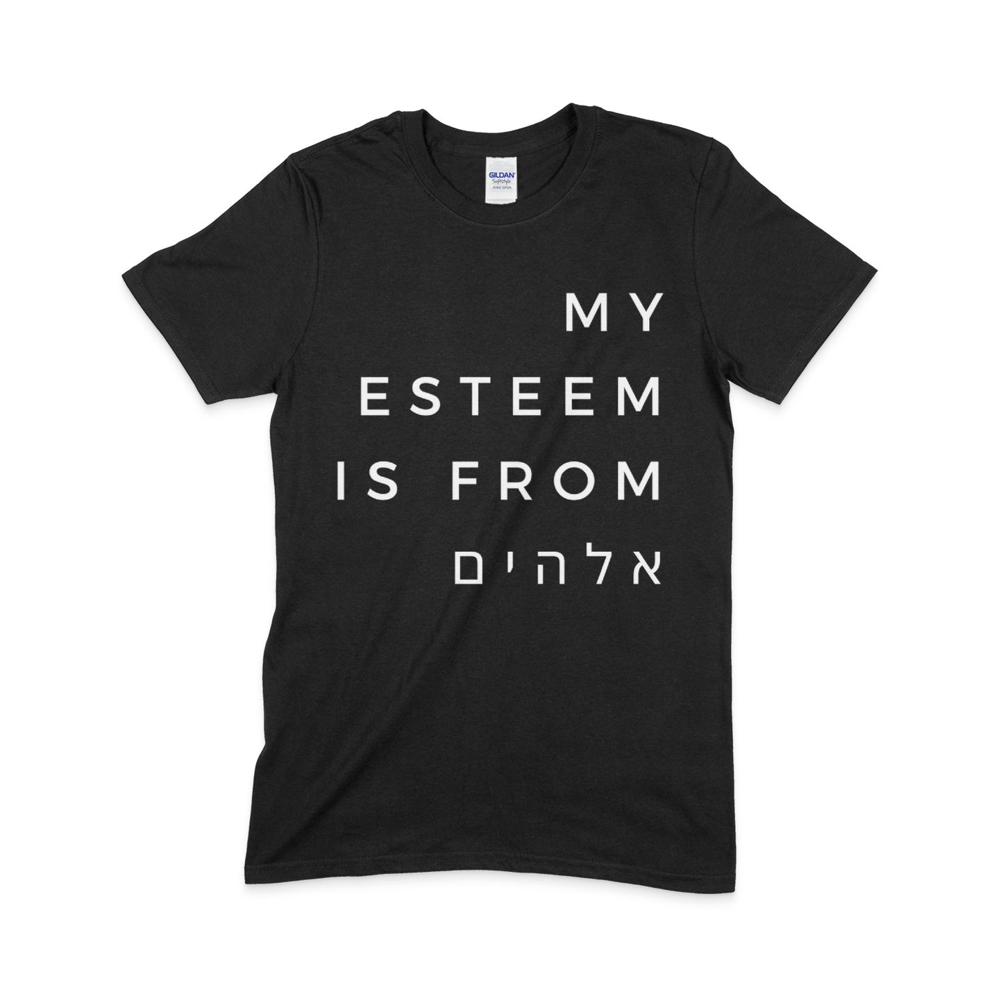 My Esteem is from "Elohim"