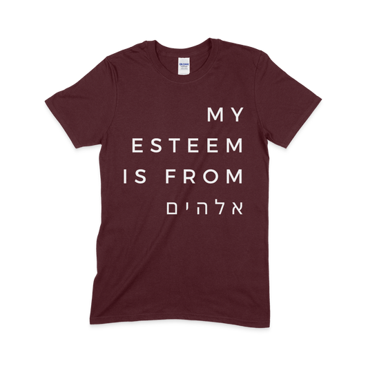 My Esteem is from "Elohim"